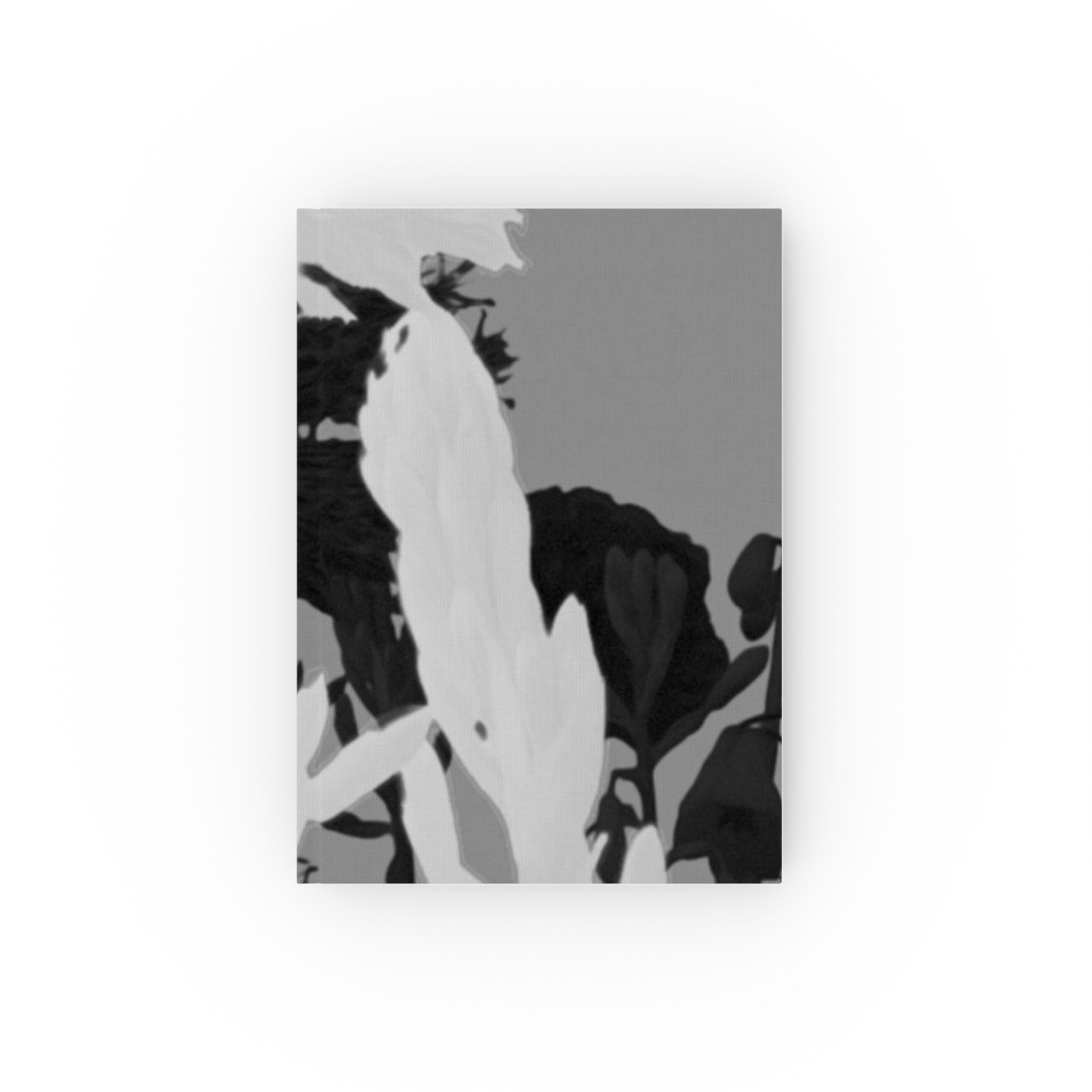 Amazing Grey: Hard Backed Notebook