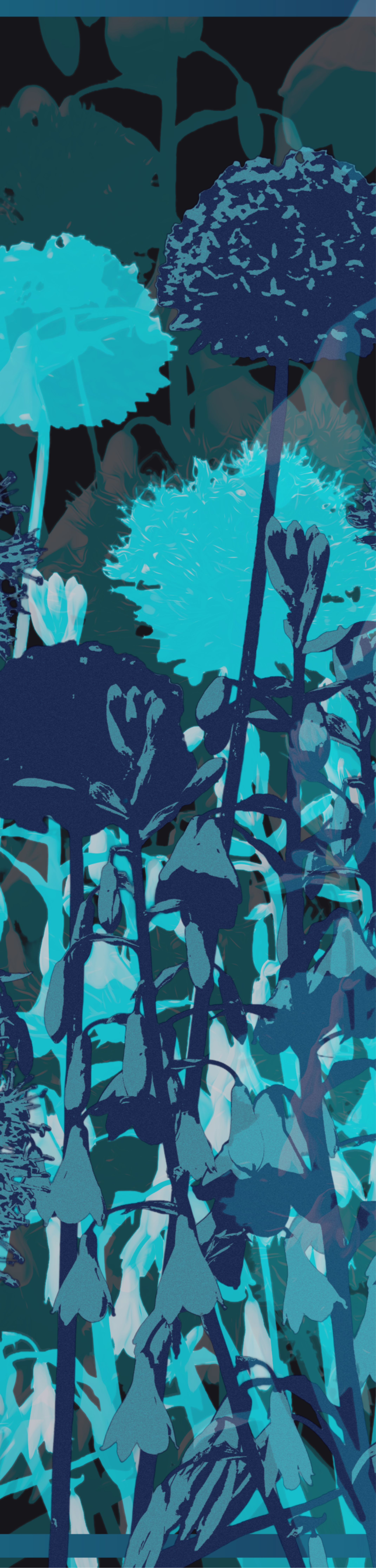Teal: Silk-Chiffon Long Scarf